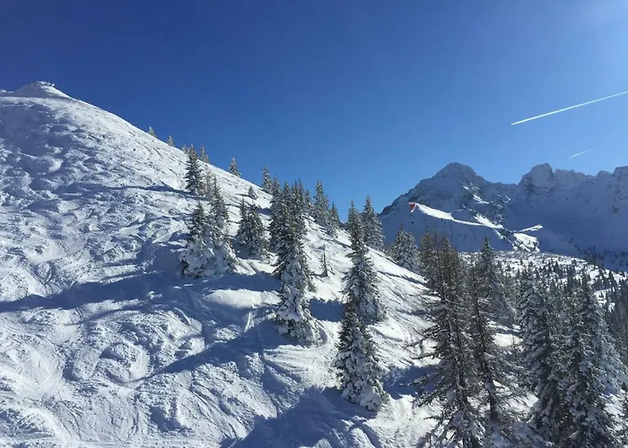 Sonnenhang Studio&design Apartment Schladming